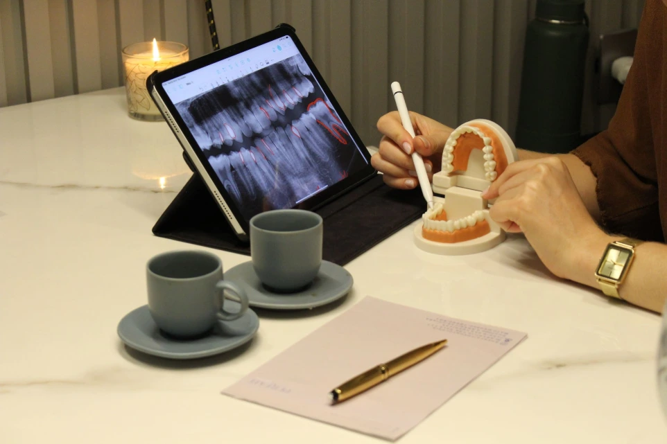 Dra. Tâmara Jamal em trabalho de anamenese